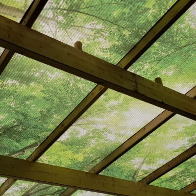 Fountaindale LightPrint Vinyl Canopy with rainforest-themed printed graphic on polycarbonate panels for schools.