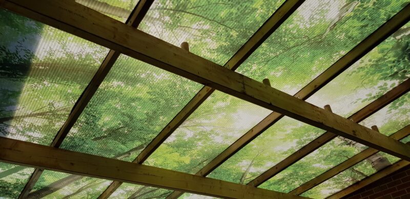 Fountaindale LightPrint Vinyl Canopy with rainforest-themed printed graphic on polycarbonate panels for schools.