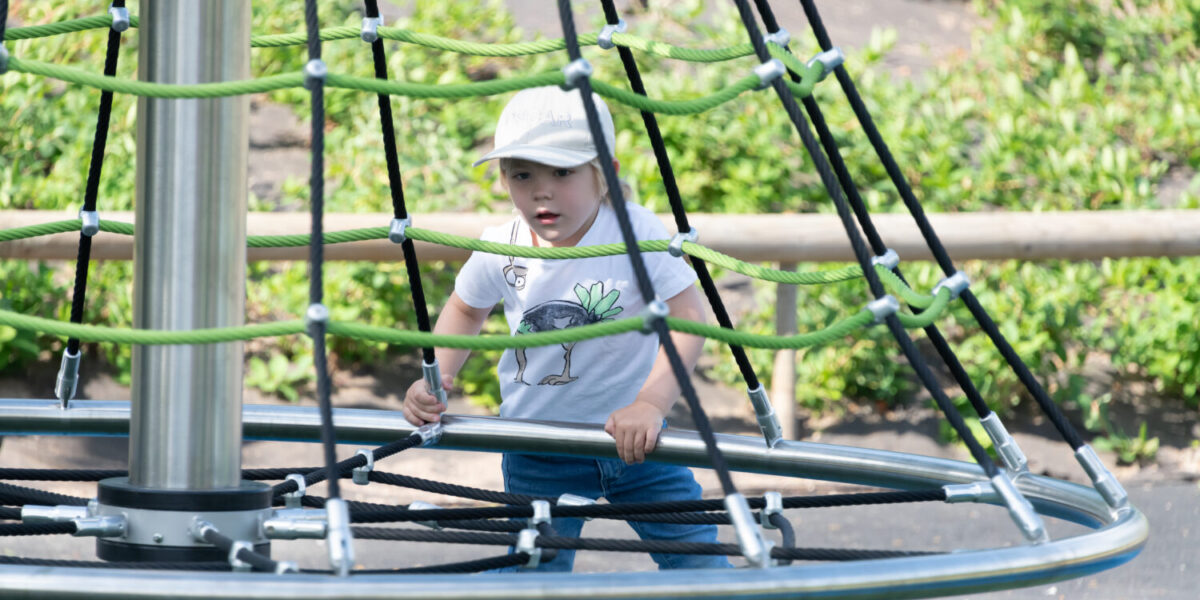 Cone Climber 3000 (0) Cone Climber 3000 (0)